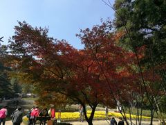 -庐山风景区花径公园