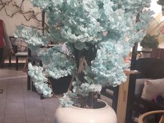 -确喜美味小厨(西单商场兰州店)