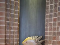 -永安鱼庄·镇江菜(东吴路店)