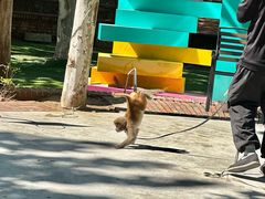 -沂蒙云瀑洞天景区