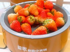 -龍歌自助小火锅(漳州二路爱购店)