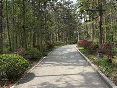 -冶父山国家森林公园