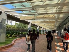 -香港大学