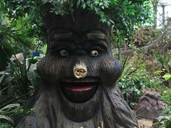 -呀路古热带植物园-恐龙馆