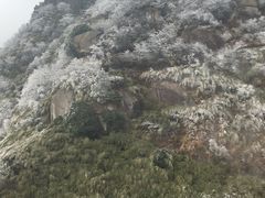 -南岳衡山风景名胜区-南岳大庙