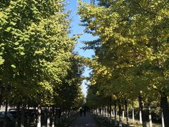 -宛平城