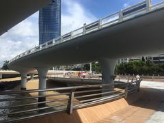 -演武大桥观景平台