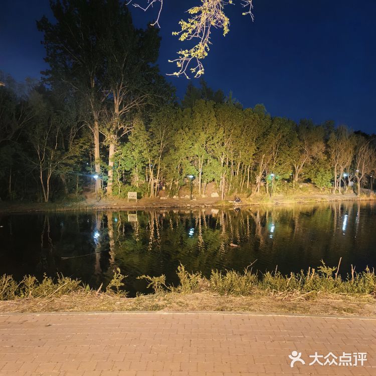 这不仅是一家酒吧