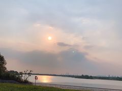 -贡湖湾湿地公园
