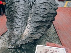 -西安曲江寒窑遗址公园