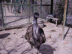 -青藏高原野生动物园
