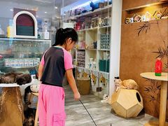 -楼上猫咖(罗湖店)