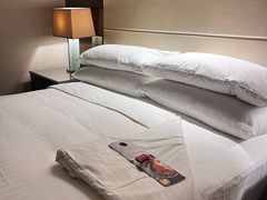 -新加坡万豪董厦酒店