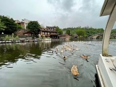 -两江国际影视城