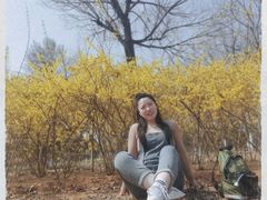 -永定河休闲森林公园