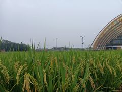 -中国天府农业博览园