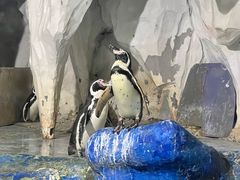 -太平洋海底世界