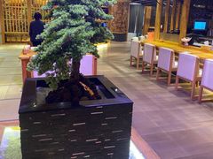 -吟松日式料理(莘庄店)