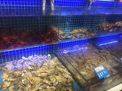 -必点海鲜·鲅鱼水饺(鞍山西道店)