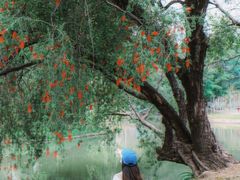 -人民公园(罗湖区)