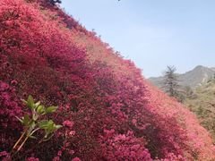-木兰云雾山