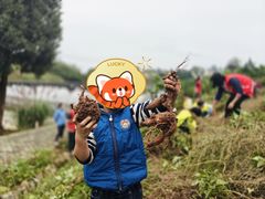 -宾果蒙特梭利托育儿童之家幼儿园(爱琴海店)