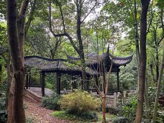 -上海佘山国家森林公园天马山园