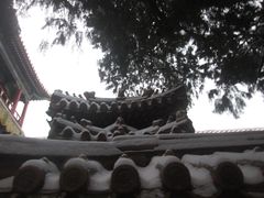 -故宫博物院(故宫)