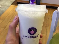 -一只酸奶牛(八一路店)