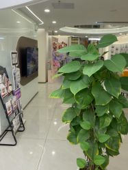 点击看大图 -至简医疗美容·医生集团