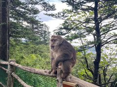 -峨眉山风景名胜区