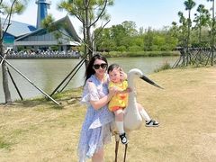 -盐城丹顶鹤湿地生态旅游区