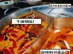 -大龙燚火锅(春熙店)