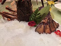 澳洲龙虾刺身-顺轩海鲜火锅酒家