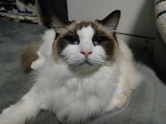 -零纪元VR体验馆·桌游(黄浦店)