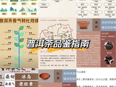 -金鸡湖景区