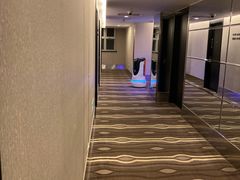 -桔子酒店(上海西藏北路地铁站店)