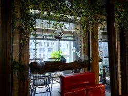 -青青一生美皮肤管理