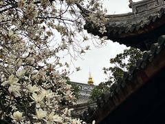 -龙华寺