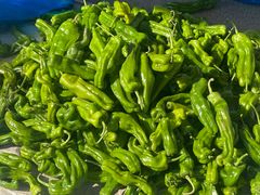 -雪绒花路停车场