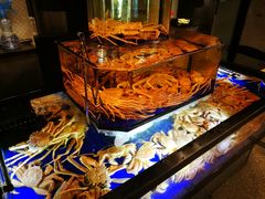 -蟹道乐(道顿堀本店)