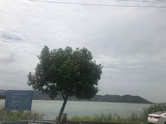 -梦缘水乡·湖景餐厅