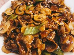 口蘑肉片-烤肉宛饭庄(南礼士路店)
