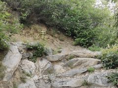 -阳台山自然风景区