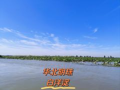 -白洋淀景区