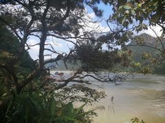 -羚羊峡古栈道森林公园