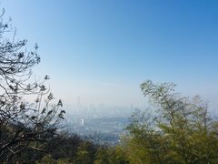 -紫金山天文台