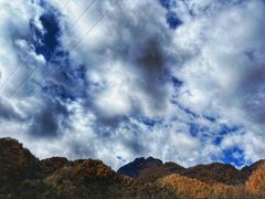 -秦岭风景区