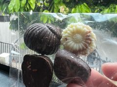 -Belice Chocolate Kingdom