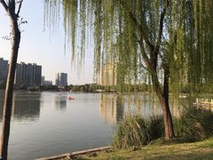 -南翔镇银翔湖公园